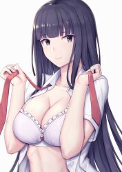 Rule 34 | 1girl, absurdres, black eyes, black hair, blunt bangs, bra, breasts, cleavage, closed mouth, collarbone, collared shirt, commentary request, dress shirt, highres, holding necktie, large breasts, long hair, looking at viewer, necktie, ohguro mariya, open clothes, open shirt, original, red necktie, revision, shirt, short sleeves, simple background, smile, solo, underwear, upper body, white background, white bra, white shirt