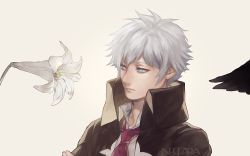 Rule 34 | 1boy, bad id, bad pixiv id, blue eyes, charles-henri sanson (fate), fate/grand order, fate (series), feathers, flower, grey background, jacket, male focus, necktie, neopara, red necktie, shirt, short hair, simple background, solo, white hair
