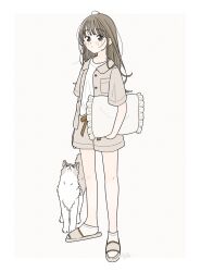 Rule 34 | 1girl, ahoge, black eyes, bow, breast pocket, brown bow, brown hair, buttons, closed mouth, dog, frilled pillow, frills, full body, grey jacket, grey shorts, highres, holding, holding pillow, jacket, light blush, long hair, looking at viewer, momo tarou, original, outside border, pillow, pocket, shirt, shorts, slippers, socks, solo, standing, white shirt, white socks