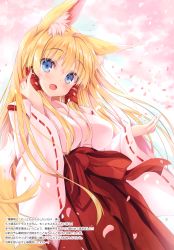 Rule 34 | 1girl, absurdres, animal ear fluff, animal ears, blonde hair, blue eyes, blush, breasts, fox ears, fox girl, fox tail, gradient background, hakama, hakama skirt, hands up, highres, japanese clothes, kotone (tateha), long hair, long sleeves, looking at viewer, medium breasts, open mouth, petals, red hakama, scan, shiny skin, simple background, skirt, smile, solo, tail, tateha (marvelous grace), wide sleeves