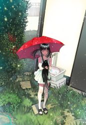 Rule 34 | 1girl, arutera, bad id, bad pixiv id, bare legs, black hair, bush, carrying, cat, dress, closed eyes, flower, grass, happy, highres, hose, long hair, open mouth, original, outdoors, plant, sandals, solo, standing, umbrella, white dress, wind