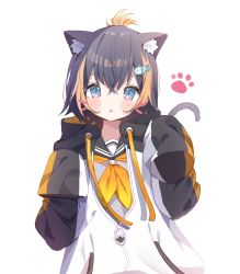 Rule 34 | 1girl, animal ear fluff, animal ears, black hair, black sailor collar, blue eyes, blush, brown hair, cat ears, cat girl, cat tail, commentary, deyui, drawstring, fish hair ornament, hair between eyes, hair ornament, highres, jacket, kemonomimi mode, long sleeves, looking at viewer, multicolored hair, neckerchief, nijisanji, nijisanji en, parted lips, petra gurin, petra gurin (1st costume), romaji commentary, sailor collar, shirt, simple background, sleeves past fingers, sleeves past wrists, solo, streaked hair, tail, tail raised, virtual youtuber, white background, white jacket, white shirt, yellow neckerchief