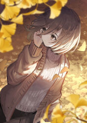 Rule 34 | 1girl, absurdres, autumn leaves, brown cardigan, cardigan, cowboy shot, day, falling leaves, from above, ginkgo leaf, grey sweater, hair between eyes, hand on own cheek, hand on own face, highres, leaf, long sleeves, looking away, looking back, open cardigan, open clothes, original, outdoors, siena (moratoriummaga), solo, sweater