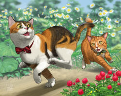 Rule 34 | animal focus, bow, bowtie, cat, chasing, day, flower request, matataku, no humans, original, outdoors, plant, running