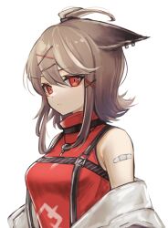 Rule 34 | 1girl, 3 (sanyako1), animal ears, arknights, bandaid, bandaid on shoulder, bare shoulders, breasts, brown hair, closed mouth, cutter (arknights), fox ears, hair ornament, hairclip, highres, jewelry, looking at viewer, medium breasts, necklace, off shoulder, red eyes, red shirt, shirt, short hair with long locks, sidelocks, simple background, solo, topknot, upper body, white background, x hair ornament