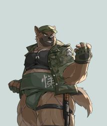 Rule 34 | 1boy, absurdres, animal ears, bara, belly, brown fur, bulge, camouflage, camouflage jacket, chest harness, covered erect nipples, dog boy, dog tags, fat, fat man, fingerless gloves, fox boy, fox ears, fox tail, furry, furry male, gloves, green eyes, grin, hand up, harness, highres, jacket, large pectorals, looking to the side, male focus, muscular, muscular male, open clothes, open jacket, pectoral cleavage, pectorals, scar, scar on leg, skindentation, sleeves rolled up, smile, solo, sumo, tail, thick eyebrows, thick thighs, thighs, tokyo houkago summoners, warr (youdil1004), yasuyori (housamo)