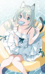 Rule 34 | 1girl, animal ear fluff, animal ears, bare arms, bare shoulders, barefoot, blue bow, blue eyes, blush, bow, breasts, cat ears, cat girl, cat tail, cleavage, collarbone, commentary request, day, dress, feet out of frame, food, food in mouth, frilled dress, frills, grey hair, hair between eyes, highres, innertube, long hair, looking at viewer, mouth hold, original, outdoors, popsicle, sleeveless, sleeveless dress, small breasts, solo, swim ring, tail, tail bow, tail ornament, tantan men (dragon), very long hair, water, white dress