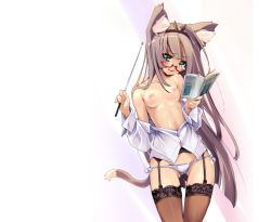 Rule 34 | 1girl, animal ears, ashishun, bare shoulders, blue eyes, book, breasts, cat ears, cat tail, garter belt, glasses, grey hair, lace, lace-trimmed legwear, lace trim, long hair, lowleg, lowleg panties, nipples, open clothes, open shirt, original, panties, shirt, side-tie panties, solo, tail, thighhighs, underwear, very long hair