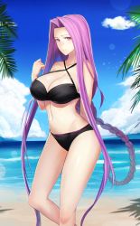 Rule 34 | 1girl, arm behind back, bare shoulders, beach, bikini, black bikini, blue sky, braid, breasts, cleavage, closed mouth, cloud, collarbone, criss-cross halter, day, fate/stay night, fate (series), female focus, hair intakes, halterneck, hand up, hip focus, large breasts, long hair, looking at viewer, matching hair/eyes, medusa (fate), medusa (rider) (fate), minami koyogi, navel, ocean, official alternate costume, palm tree, parted bangs, purple eyes, purple hair, sidelocks, single braid, sky, solo, square pupils, standing, swimsuit, thighs, tree, very long hair