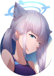 Rule 34 | 1girl, absurdres, animal ears, bare shoulders, blue archive, blue one-piece swimsuit, breasts, cat ears, chan sang, competition swimsuit, earrings, hair ornament, hairclip, halo, highres, jewelry, looking at viewer, one-piece swimsuit, portrait, shiroko (blue archive), shiroko (swimsuit) (blue archive), side ponytail, simple background, solo, swimsuit, white background, white hair