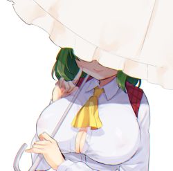 Rule 34 | 1girl, ascot, bad id, bad twitter id, blurry, breasts, bursting breasts, busujima funya, chromatic aberration, cleavage, closed mouth, commentary, covering own eyes, finger to cheek, green hair, highres, holding, holding umbrella, kazami yuuka, large breasts, long sleeves, medium hair, one-hour drawing challenge, parasol, plaid, plaid vest, red vest, shade, shirt, simple background, smile, solo, touhou, umbrella, vest, white background, white shirt, white umbrella, yellow ascot