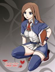 Rule 34 | 1girl, artist request, blue eyes, blue thighhighs, breasts, brown hair, castlevania (series), castlevania: portrait of ruin, charlotte aulin, dollinger, long hair, panties, solo, source request, thighhighs, underwear