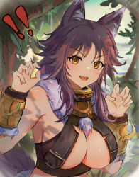 Rule 34 | !, !!, 1girl, absurdres, animal ear fluff, animal ears, arm belt, arm strap, breasts, cleavage, crop top, forest, fur trim, highres, large breasts, long hair, makoto (princess connect!), nature, open mouth, outdoors, paw pose, princess connect!, purple hair, sleeveless, solo, tail, user eehw8354, wolf ears, wolf girl, wolf tail, yellow eyes