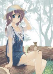 Rule 34 | 1girl, arm behind head, bad id, bad pixiv id, blue eyes, braid, brown hair, forest, hat, legs, log, mouse (animal), naruse chisato, nature, original, sitting, solo, sun hat, twin braids, twintails