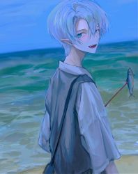 Rule 34 | 1boy, absurdres, bad id, bad pixiv id, bag, beach, blue eyes, commentary, english commentary, fang, fish, hair between eyes, head tilt, highres, hzk (user kemd2843), male focus, ocean, original, outdoors, pointy ears, sand, shirt, shoulder bag, silver hair, sky, solo, upper body, water, white shirt