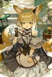 Rule 34 | 1girl, absurdres, animal ears, arknights, bare shoulders, black collar, black gloves, black vest, blonde hair, blue dress, blue hairband, braid, clothing cutout, collar, dress, earpiece, flower, food, food on face, fork, fox ears, fox girl, fox tail, frilled dress, frills, gloves, green eyes, hairband, hand up, highres, holding, holding fork, indoors, infection monitor (arknights), kitsune, light blush, long hair, material growth, multicolored hair, open mouth, orange flower, oripathy lesion (arknights), plant, potted plant, shoulder cutout, single glove, single wrist cuff, sitting, solo, streaked hair, suzuran (arknights), table, tactical clothes, tail, twice12314, two-tone dress, vest, white dress, white hair, white wrist cuffs, window, wrist cuffs, yellow flower