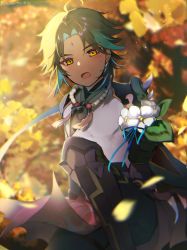 Rule 34 | 1boy, ahoge, aqua hair, azna, bead necklace, beads, black gloves, black hair, blush, facial mark, flower, forehead mark, genshin impact, ginkgo leaf, gloves, highres, holding, holding flower, jewelry, leaf, looking at viewer, male focus, multicolored hair, necklace, open mouth, ribbon, solo, sweat, tassel, twitter username, white flower, xiao (genshin impact)