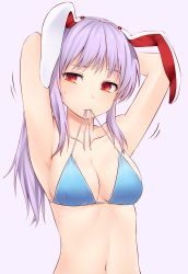 Rule 34 | 1girl, alternate hairstyle, animal ears, armpits, arms up, bare arms, bikini, blue bikini, blush, breasts, collarbone, commentary request, highres, long hair, looking at viewer, medium breasts, miyo (ranthath), mouth hold, navel, ponytail, purple background, purple hair, rabbit ears, red eyes, reisen udongein inaba, shiny skin, sidelocks, simple background, solo, stomach, sweat, swimsuit, touhou, tying hair, untied bikini, upper body