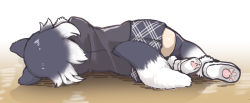 Rule 34 | 1girl, animal ears, black jacket, boots, commentary request, from behind, fur trim, gradient hair, gradient legwear, grey hair, grey thighhighs, grey wolf (kemono friends), jacket, kemono friends, lying, multicolored hair, on side, paw print soles, plaid, plaid skirt, pleated skirt, short hair, skirt, solo, tail, tanaka kusao, thighhighs, white footwear, white fur, white hair, white thighhighs, wolf ears, wolf girl, wolf tail, zettai ryouiki
