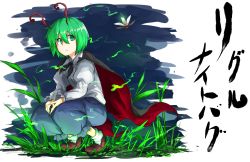 Rule 34 | 1girl, antennae, bad id, bad pixiv id, black cape, blue pants, bobby socks, brown footwear, cape, character name, dress shirt, fireflies, full body, grass, green eyes, green hair, highres, juliet sleeves, kankan33333, long sleeves, looking at viewer, pants, parted lips, puffy sleeves, shirt, shoes, short hair, socks, solo, squatting, touhou, triangle mouth, white shirt, white socks, wriggle nightbug