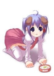 Rule 34 | 1girl, ahoge, all fours, animal ears, bowl, dog ears, food, looking at viewer, open mouth, original, pet bowl, rice, short twintails, solo, thighhighs, twintails, white thighhighs