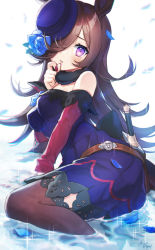 Rule 34 | 1girl, animal ears, bare shoulders, blue flower, blue rose, blush, breasts, brown hair, brown thighhighs, commentary request, dagger, dress, flower, hair over one eye, hand to own mouth, hand up, hat, hat flower, highres, horse ears, horse girl, horse tail, knife, long hair, looking at viewer, medium breasts, nail polish, noixen, off-shoulder dress, off shoulder, parted lips, petals, purple dress, purple eyes, purple hat, red nails, rice shower (umamusume), rose, signature, solo, tail, thighhighs, tilted headwear, umamusume, very long hair, water, weapon