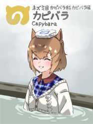 Rule 34 | 1girl, ^ ^, animal ears, brown hair, capybara (kemono friends), character name, closed eyes, clothed bath, commentary, facing away, hair between eyes, highres, japari symbol, kemono friends, parted lips, partially submerged, plaid, short hair, smile, solo, tanabe (fueisei), towel, towel on head, upper body, water