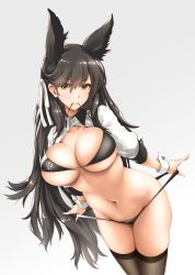 Rule 34 | 1girl, akatsuki akane, animal ears, atago (azur lane), atago (stunning speedster) (azur lane), azur lane, bikini, black bikini, black bra, black hair, black panties, black thighhighs, blush, bra, breasts, brown eyes, cleavage, collarbone, cowboy shot, hair tie, highres, jacket, large breasts, long hair, long sleeves, looking at viewer, mole, mole under eye, mouth hold, navel, open clothes, open jacket, panties, race queen, signature, simple background, skindentation, solo, standing, swimsuit, thighhighs, underwear, upper body, very long hair, white background, white jacket
