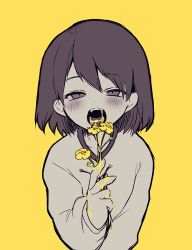 Rule 34 | 1other, androgynous, bad id, bad pixiv id, blush, chara (undertale), flower, looking at viewer, open mouth, oshiruko (tsume), sexually suggestive, shirt, short hair, simple background, solo, spot color, sweater, undertale, yellow background, yellow theme