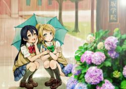 Rule 34 | 10s, 2girls, :d, :o, ayase eli, black socks, blonde hair, blue eyes, blue hair, bow, bowtie, brown footwear, commentary request, crossed arms, flower, hand on own cheek, hand on own face, holding, holding umbrella, hydrangea, kneehighs, lilylion26, loafers, long hair, love live!, love live! school idol project, multiple girls, open mouth, plaid, plaid skirt, pointing, ponytail, rain, school uniform, scrunchie, shared umbrella, shoes, short sleeves, skirt, smile, socks, sonoda umi, squatting, sweater vest, umbrella, yellow eyes