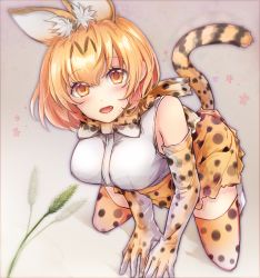 Rule 34 | 10s, 1girl, :d, akira (aky-la), animal ears, bad id, bad pixiv id, blonde hair, breasts, cat ears, cat tail, cat teaser, fangs, from above, highres, kemono friends, kneeling, looking at viewer, looking up, medium breasts, open mouth, polka dot, serval (kemono friends), serval print, serval tail, short hair, smile, solo, tail, thighhighs, yellow eyes, zettai ryouiki