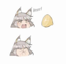 Rule 34 | 1girl, absurdres, animal ear fluff, animal ears, bright pupils, calmgreentori, cat ears, cat girl, commentary, cross-shaped pupils, fang, food, fruit, grey hair, highres, lemon, nia (xenoblade), simple background, skin fang, sour (taste), symbol-shaped pupils, v-shaped eyebrows, white background, white pupils, xenoblade chronicles (series), xenoblade chronicles 2, yellow eyes