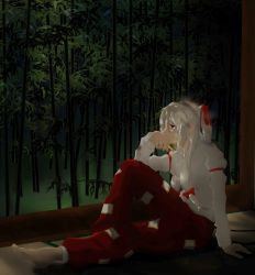 Rule 34 | 1girl, absurdres, armband, bamboo, bamboo forest, barefoot, cigarette, covering own mouth, elbow on knee, forest, fujiwara no mokou, full body, highres, knee up, long sleeves, looking to the side, nature, night, ofuda, outstretched leg, pants, ponytail, shirt, sidelocks, silver hair, sitting, smoking, solo, swwerz, tatami, touhou, white shirt