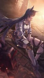 Rule 34 | 1girl, absurdres, animal ears, arknights, building, gyoukan (jfxc), highres, ruins, sitting, solo, texas (arknights)