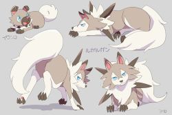 Rule 34 | animal, bad id, bad pixiv id, blue eyes, body fur, claws, creatures (company), dog, evolutionary line, fluffy, game freak, gen 7 pokemon, looking at viewer, looking back, looking up, lycanroc, lycanroc (midday), lying, nintendo, pokemon, pokemon (creature), pokemon sm, puppy, rockruff, ronisuke, tail, wolf