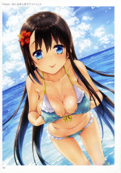 Rule 34 | 1girl, :p, absurdres, bikini, black hair, blue bikini, blue eyes, blue sky, breasts, cloud, cloudy sky, collarbone, day, dutch angle, flower, front-tie bikini top, front-tie top, hair flower, hair ornament, highres, hisasi, horizon, large breasts, leaning forward, looking at viewer, outdoors, scan, grabbing own breast, sky, smile, solo, swimsuit, tongue, tongue out, toranoana, wading, wet