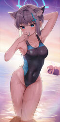 Rule 34 | 2girls, absurdres, animal ear fluff, animal ears, black one-piece swimsuit, blue archive, blue eyes, breasts, commentary, competition swimsuit, covered navel, cross hair ornament, extra ears, grey hair, hair ornament, halo, highres, horizon, hoshino (blue archive), li se, low ponytail, medium breasts, medium hair, mismatched pupils, mouth hold, multicolored clothes, multicolored swimsuit, multiple girls, ocean, one-piece swimsuit, shiroko (blue archive), shiroko (swimsuit) (blue archive), solo focus, standing, sunset, swimsuit, water, wet