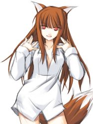 Rule 34 | 00s, animal ears, holo, ribi, sketch, solo, spice and wolf, tail, wolf ears, wolf tail