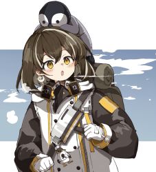 Rule 34 | 1girl, animal, animal on head, arknights, backpack, bag, bird, bird mask, blush, breath, brown hair, coat, cold, commentary, earrings, freenote mr, glint, gloves, hair between eyes, highres, jewelry, looking at viewer, magallan (arknights), mask, mask around neck, multicolored hair, on head, open mouth, penguin, short hair, silver hair, simple background, single earring, solo, strap, streaked hair, the emperor (arknights), two-tone hair, upper body, white background, white coat, white gloves, winter clothes, yellow eyes