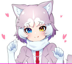 Rule 34 | 1girl, :3, animal ear fluff, animal ears, bad id, bad pixiv id, blue eyes, blush, closed mouth, dog (mixed breed) (kemono friends), dog ears, dog tail, elbow gloves, gloves, grey hair, heart, heterochromia, highres, kemono friends, looking at viewer, multicolored hair, short hair, short sleeves, smile, solo, tail, takom, tongue, tongue out, two-tone hair, upper body, white gloves, white hair, yellow eyes