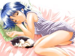Rule 34 | 00s, 1girl, 2001, animal, bed, blue hair, blush, cat, closed eyes, dated, hijikata isami, lying, october, parted lips, pillow, short hair, sleeping, solo, striped, teeth