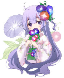 Rule 34 | 1girl, azur lane, blue flower, blush, brown flower, commentary request, covered mouth, cropped torso, floral print, flower, flower over mouth, hair between eyes, hair flower, hair ornament, holding, holding flower, japanese clothes, kimono, long hair, long sleeves, obi, one side up, pink flower, print kimono, purple eyes, purple flower, purple hair, red flower, sash, simple background, solo, sukireto, unicorn (azur lane), upper body, very long hair, white background, white kimono, wide sleeves