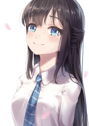 Rule 34 | 1girl, black hair, blue eyes, blue necktie, blush, breasts, closed mouth, collared shirt, commentary, crying, crying with eyes open, diagonal-striped clothes, diagonal-striped necktie, diagonal-striped neckwear, highres, long hair, looking at viewer, necktie, original, petals, school uniform, shirt, simple background, small breasts, smile, solo, striped clothes, striped necktie, striped neckwear, tears, upper body, white background, white ph, white shirt