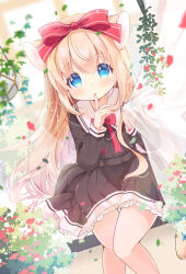 Rule 34 | 1girl, :o, animal ears, bare legs, black dress, blonde hair, blue eyes, blush, bow, bowtie, cat ears, cat girl, cat tail, collared dress, curtains, dress, falling leaves, falling petals, finger to mouth, fukaya rin, hanging plant, highres, leaf, long hair, looking at viewer, original, petals, plant, potted plant, red bow, red bowtie, solo, tail, tareme, thigh gap, thighs, vines, wind