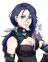 Rule 34 | blue hair, breasts, cleavage, fire emblem, fire emblem: three houses, fire emblem warriors, fire emblem warriors: three hopes, highres, lips, long hair, looking at viewer, medium breasts, muscular, muscular female, nintendo, ponytail, shamir nevrand, smile, solo