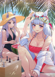 Rule 34 | 2girls, :3, alternate costume, animal ears, bandana, bandeau, bikini, black one-piece swimsuit, blush, board game, breasts, casual one-piece swimsuit, chess piece, cleavage, closed mouth, ears through headwear, food, fruit, glint, gold ship (umamusume), grey hair, hat, highres, holding, holding spoon, horizon, horse ears, horse girl, horse tail, jacket, jewelry, knee up, large breasts, long hair, looking at viewer, mejiro mcqueen (umamusume), multiple girls, nabe puyo, necklace, off shoulder, one-piece swimsuit, outdoors, purple eyes, purple hair, red bikini, shogi, shogi piece, sitting, small breasts, spoon, sun hat, swimsuit, tail, tongue, tongue out, umamusume, watermelon, white jacket