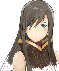 Rule 34 | 1girl, bad id, bad twitter id, blue eyes, brown hair, closed mouth, hair between eyes, long hair, looking at viewer, portrait, rourou ill, simple background, sketch, sleeveless, smile, solo, straight hair, tales of (series), tales of the abyss, tear grants, white background