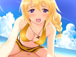 Rule 34 | 10s, 1girl, beach, bikini, blonde hair, blush, braid, breasts, charlotte dunois, cleavage, clothed sex, cloud, cowgirl position, day, girl on top, halterneck, halterneck, highres, implied sex, infinite stratos, jewelry, large breasts, long hair, navel, open mouth, outdoors, pendant, ponytail, purple eyes, saliva, serizawa (serizawaroom), sex, sexually suggestive, sitting, skirt, sky, solo, solo focus, straddling, swimsuit, vaginal, wet