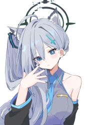 Rule 34 | 0ver sd, 1girl, animal ear fluff, animal ears, bare shoulders, black sleeves, blue archive, blue eyes, blue nails, blush, breasts, closed mouth, collared shirt, cosplay, dark halo, detached sleeves, extra ears, fingernails, grey hair, grey shirt, halo, hatsune miku, hatsune miku (cosplay), highres, long hair, looking at viewer, medium breasts, meme, mismatched pupils, nail polish, shiroko (blue archive), shiroko terror (blue archive), shirt, side ponytail, sidetail miku noodle stopper (meme), simple background, solo, upper body, vocaloid, white background, wolf ears