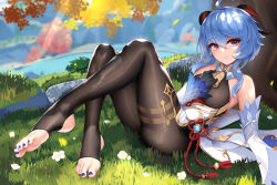 Rule 34 | 1girl, ahoge, ass, bare shoulders, bell, black gloves, blue hair, bodystocking, breasts, cowbell, day, detached collar, detached sleeves, feet, ganyu (genshin impact), genshin impact, gloves, goat horns, gold trim, hair between eyes, hand on own chest, highres, horns, leg up, long hair, long sleeves, looking at viewer, lying, medium breasts, nail polish, nekoda (maoda), on back, outdoors, purple eyes, reclining, shiny clothes, smile, solo, stirrup legwear, toeless legwear, toenail polish, toenails, tree
